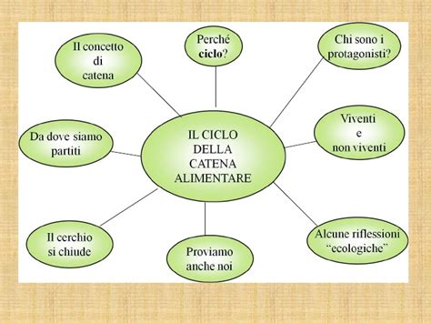 Si intuisce dall'immagine a lato. Il ciclo della catena alimentare