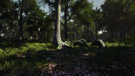 3d Scanned Photo Realistic Forest Landscape Asset Pack Vol 1 In