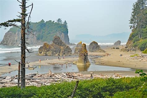 13 Mejores Playas En El Estado De Washington ️todo Sobre Viajes ️