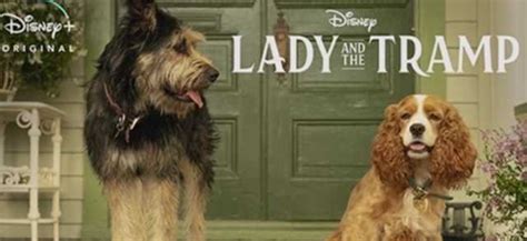 Lady And The Tramp First Look At The Cuddly Canine