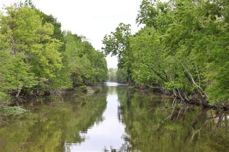 booked on the bayou terrebonne parish - Oma Childress