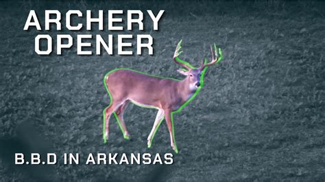 2017 Bowhunting In Arkansas Opening Day Stud Youtube