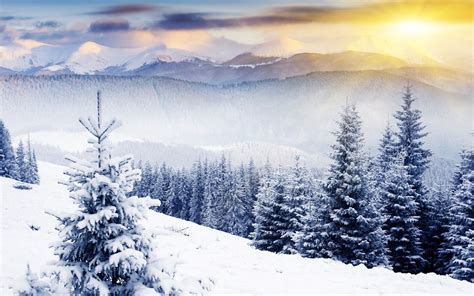 Winter Background Scenes ·① Wallpapertag