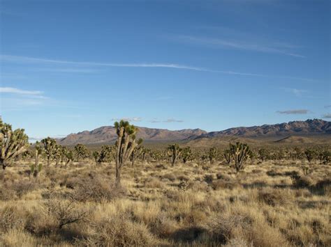 Mojave Desert Wallpapers High Quality Download Free