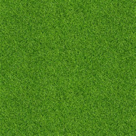 3d Render Of Green Grass Texture For Background Green Lawn Texture