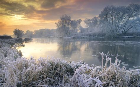 Download Frost England Water Tree Nature Ice Lake Sunrise Winter Hd