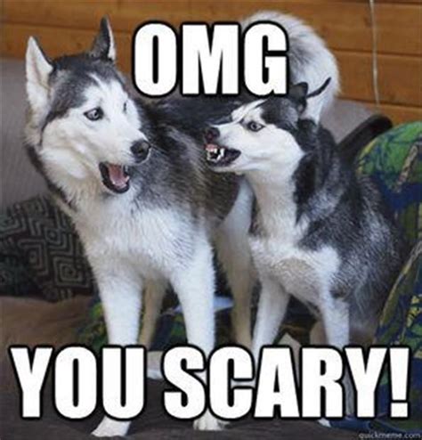 Funny Animal Pictures Of The Day 24 Pics Dog Quotes Funny Husky