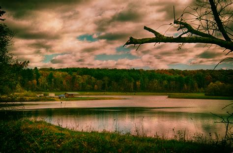 Wallpaper Trees Sky Nature Water Clouds Landscapes Pond