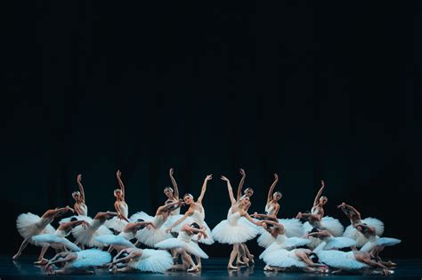 The Australian Ballets Swan Lake Is Moving Beyond Belief Beat Magazine