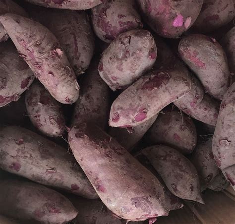 10lb Japanese Purple Sweet Potatoes Naturally Grown Etsy