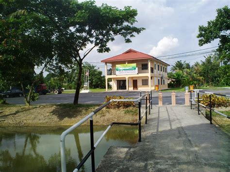 Ini termasuk juga 'buaya puchong' yang mendiami tasik di kampung sri aman. LIFE IN DIGITAL COLOUR: Kampung Sri Aman Lake Puchong