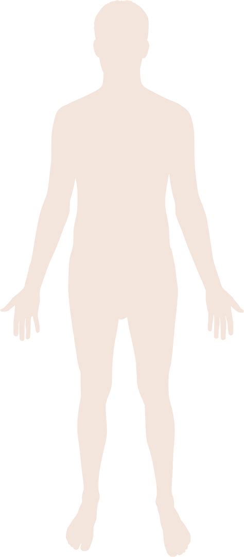 Free Human Body Outline Png Download Free Human Body Outline Png Png