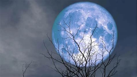 Super Blue Moon 2023 A Rare Celestial Phenomenon Explained Is Super