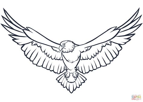 Bald Eagle coloring page | Free Printable Coloring Pages
