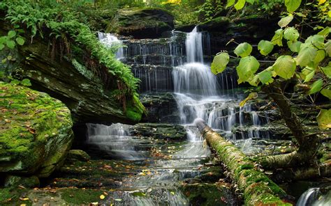 Waterfall Full Hd Wallpaper And Background Image 1920x1200 Id430722