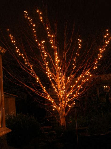 Outdoor Christmas Lights Ideas Led Tree Year Round