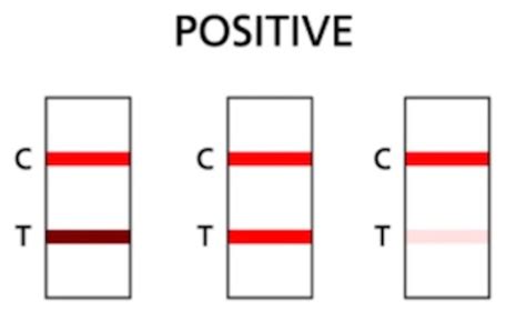 Taking Your First Rapid Antigen Test 7 Tips For An Accurate Result