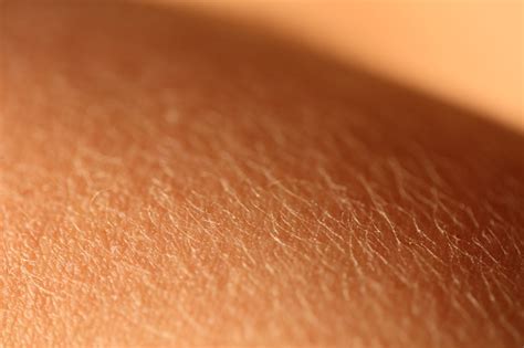 Human Skin Part Of A Body Stock Photo Download Image Now Istock