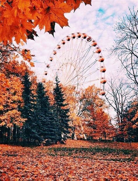 Autumn Aesthetic Big Wheel With Autumn Leaves Idea Wallpapers