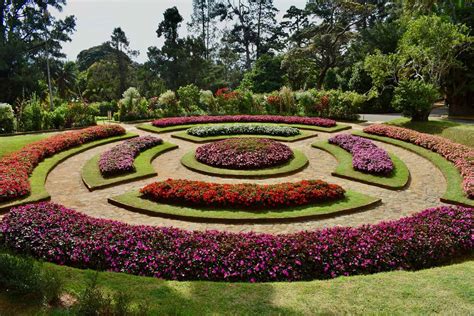 Royal Botanical Gardens Peradeniya Attractions In Kandy Ceylon Pages