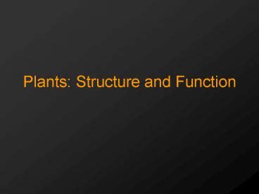 Ppt Plants Structure And Function Powerpoint Presentation Free To