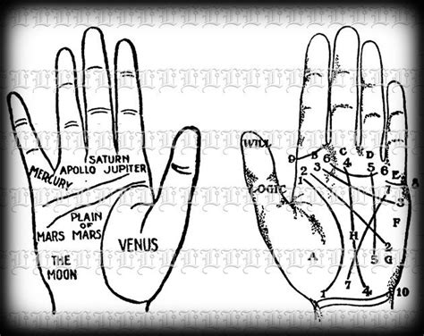 Digital Collage Sheet Palmistry Hand Reading By Luminariumgraphics
