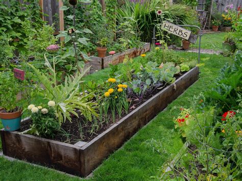 How To Start A Raised Veggie Garden