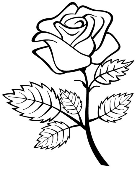 Los Dibujos Para Colorear Dibujos De Rosas Para Colorear Ramos