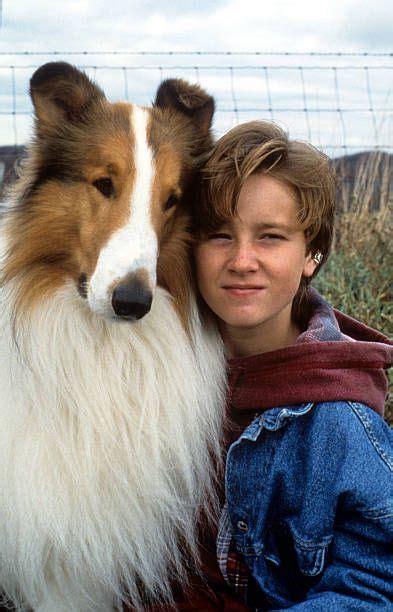 Tom Guiry And Lassie In A Scene From The Film Lassie 1994 Rough