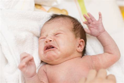 Crying Newborn Baby Girl Stock Image Image Of Displeased 39112849