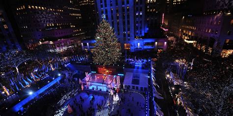 Massive Backyard Tree Will Be Rockefeller Center Christmas Tree