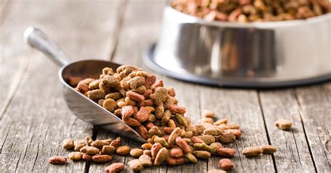 A 2013 study found that dogs and humans have spent so much time sharing each other's food that their brains and digestive tracts have. Can Humans Eat Dog Food?