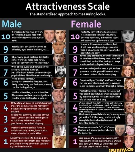 attractiveness scale the standardized approach to measuring looks male female 10 8 6 2