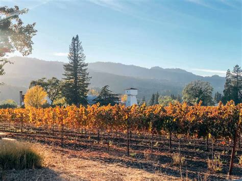 From San Francisco The Perfect Day Trip To Napa Valley Passports And