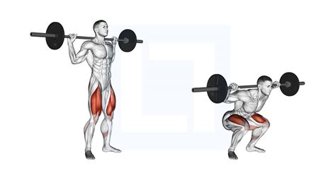 Barbell Full Squat Guide Benefits And Form