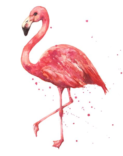 Flamingo Flamingo Art Print Flamingo Painting Bird Art Print