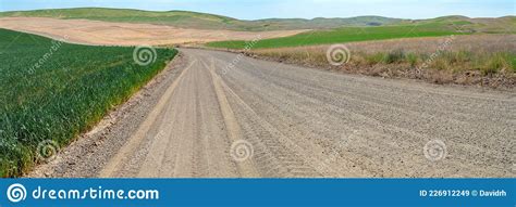 Panorama Of A Gravel Road Through Farm Fields In The Palouse Region Of