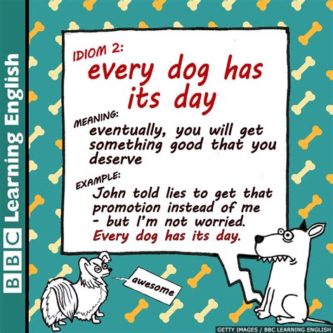 What Does The Phrase Every Dog Has Its Day Mean