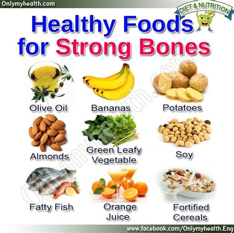 Foods That Help Build Bones Talkeo