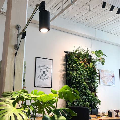 Featured In This Photo Are The Aspect And Highland Grow Lights Grow