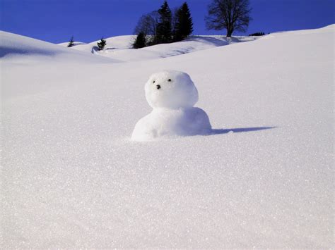 Free Images Cold Weather Season Outdoors Fun Happy Snowman Joy