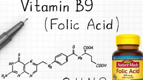 Folic Acid In Pregnancy Benefits And Dietary Sources