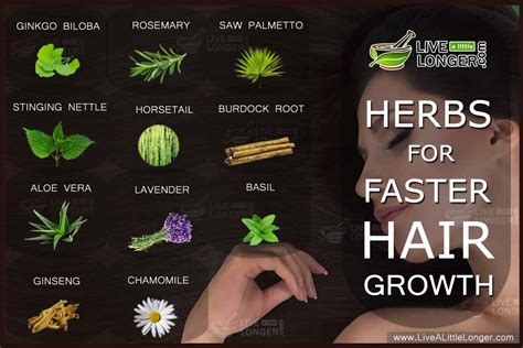 10 Amazing Herbs To Make Your Hair Grow Faster