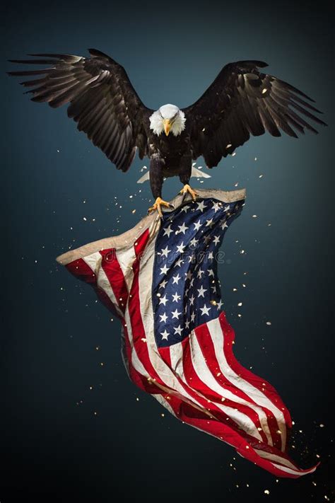 Flying Bald Eagle With American Flag