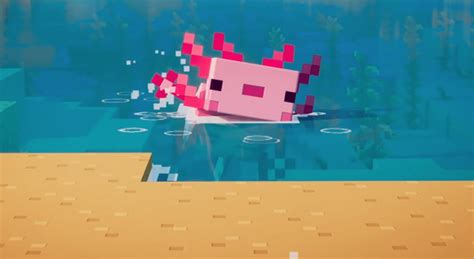 What Do Axolotls Eat In Minecraft Find The Answer Here