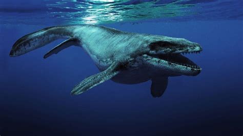 10 Prehistoric Sea Creatures Were Thankful Are Extinct