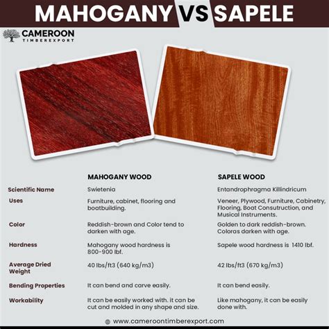 Mahogany Vs Sapele Comparison Based On Properties And Uses