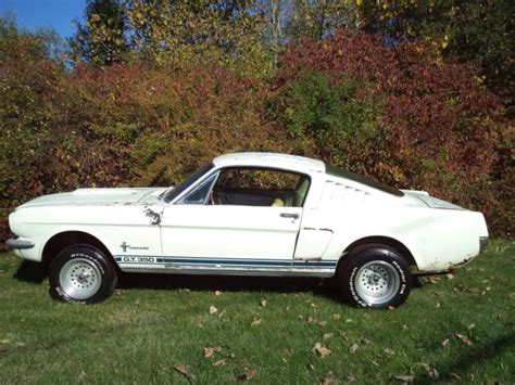 Shout out to ´chevy hunter. 1965 FORD MUSTANG FASTBACK TRUE BARN FIND. STORED INDOORS ...