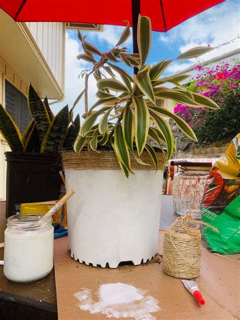 Maybe your kids have outgrown you can use any acrylic spray sealer, the more important aspect is the type of paint being applied to the. Fun and easy way to decorate a plastic pot! in 2020 ...