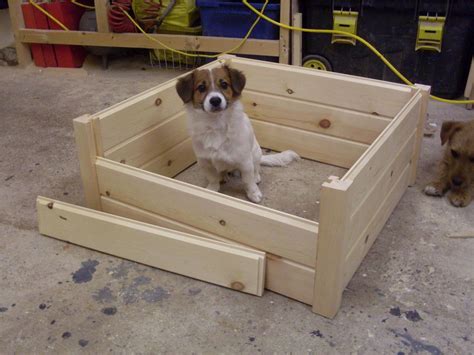 This is when they become more animated and. WOODEN DOG PUPPY WHELPING BOX BED VERY HIGH QUALITY 3 SIZES
